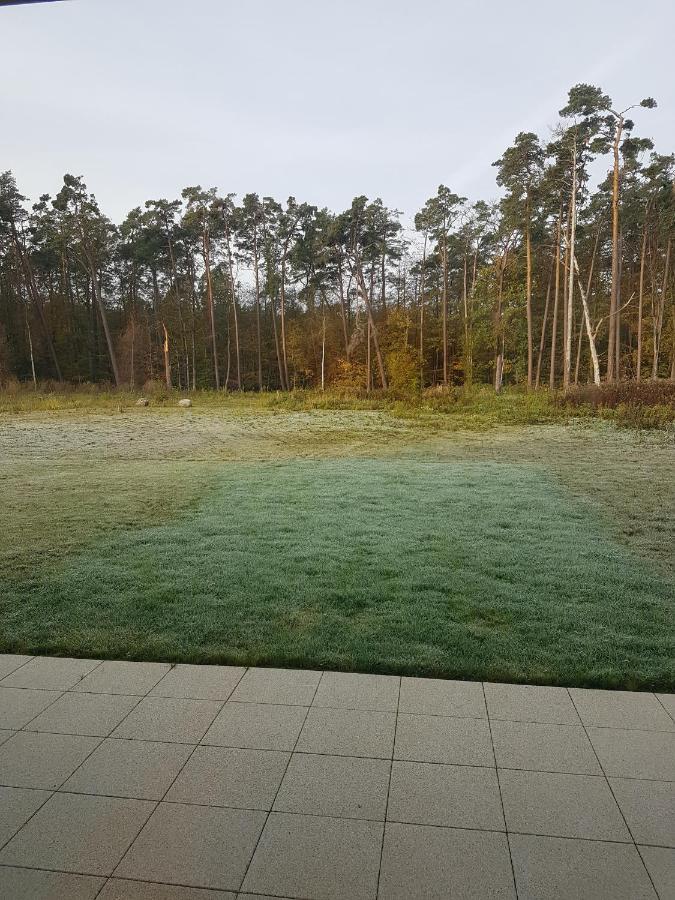 Sonnenstrahl im Küstenwald Gelbensande Exterior foto